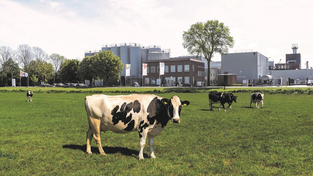 Werken in onze kaasmakerij Lutjewinkel FrieslandCampina Global Career